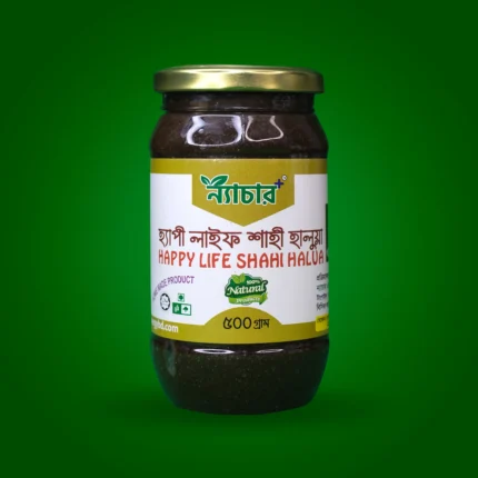 হ্যাপী লাইফ শাহী হালুয়া